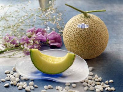 静岡クラウンマスクメロン【商品引換券】