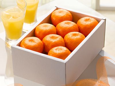 フルーツの目録パネル単品景品 ビンゴの虎